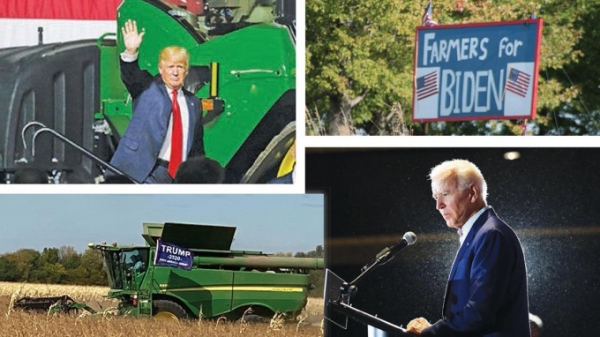 Ông Trump hứa còn nhiều hỗ trợ, ông Biden ngó lơ nông nghiệp hữu cơ
