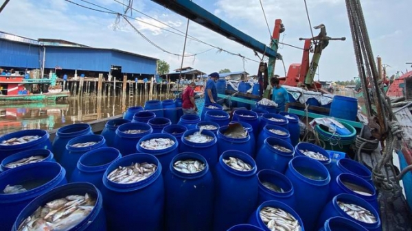 Nghề cá Malaysia: Chi phí tăng, nguồn lợi giảm, khó khăn bủa vây