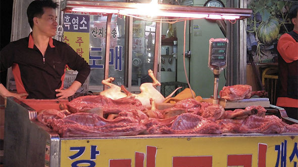 Hàn Quốc có thể sớm cấm thịt chó