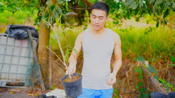 Người trẻ bén duyên nông nghiệp xanh: Đam mê của kỹ sư máy tính Việt kiều