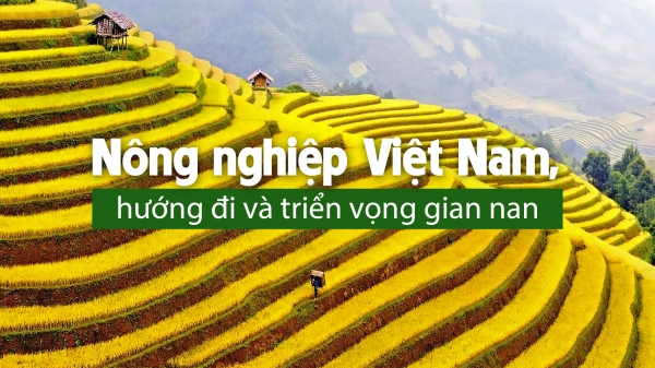 Lê Xuân Nghĩa: Nông nghiệp Việt Nam, hướng đi và triển vọng gian nan
