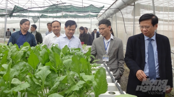 Bộ NN-PTNT 'Khơi nguồn tri thức Việt vì khát vọng nông nghiệp Việt'