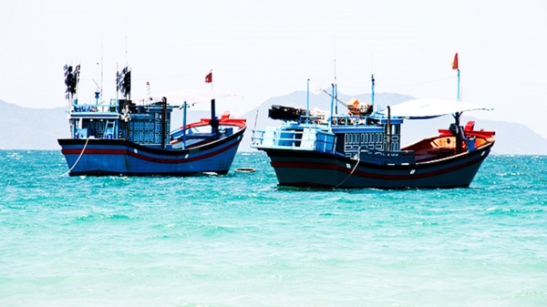 Bình Định đề nghị Bộ Ngoại giao hỗ trợ ngăn chặn tàu cá vi phạm IUU