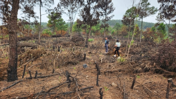 Thanh Hóa cảnh báo cháy rừng ở mức cực kỳ nguy hiểm