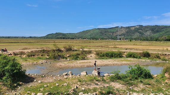 Nam Trung bộ chắt chiu nguồn nước tưới [Bài 2]: Tiết kiệm nước để ứng phó với El Nino