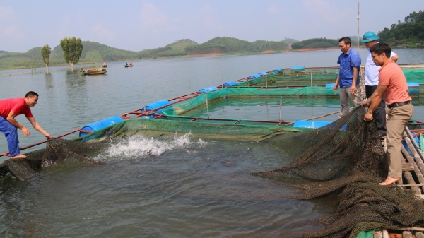 Bảo vệ thủy sản nuôi trước mùa mưa lũ