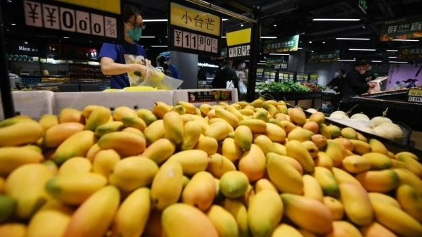 Trung Quốc ngừng nhập khẩu xoài từ Đài Loan