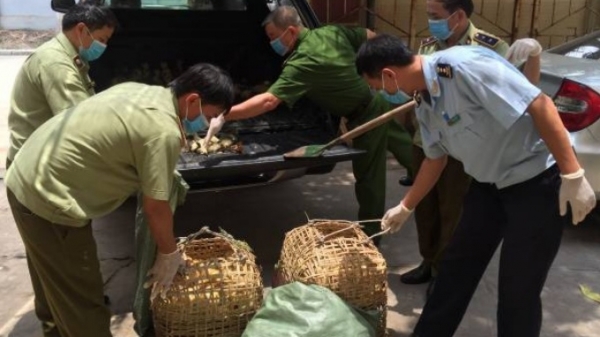 Bộ NN-PTNT đề nghị Quảng Ninh ngăn chặn buôn lậu gia cầm