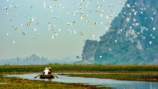 Việt Nam cùng 7 quốc gia đối thoại để chi trả dịch vụ hệ sinh thái đất ngập nước