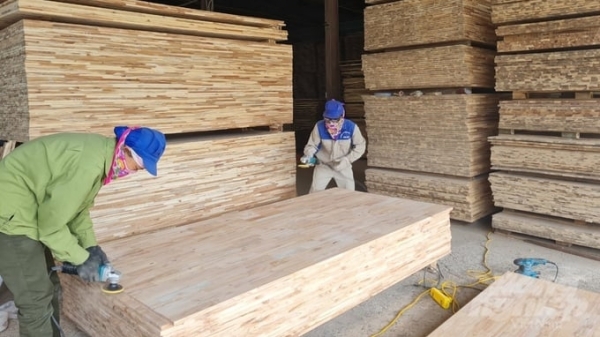 Nghe An province's wood industry soaring into European market