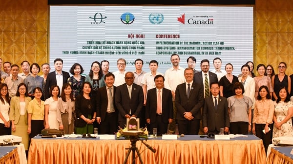 FAO đặt niềm tin vào sự chuyển đổi hệ thống lương thực thực phẩm của Việt Nam