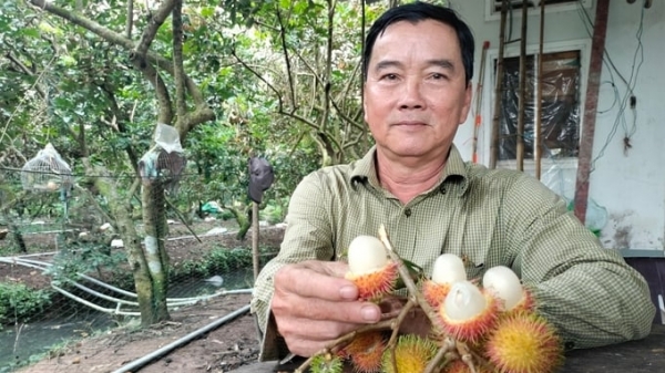 Vinh Long: Concern about food safety issues