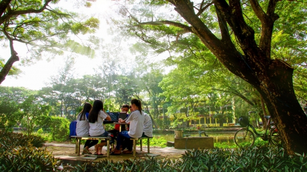 Đại học Trà Vinh vững vị trí tốp 200 thế giới các trường đại học xanh