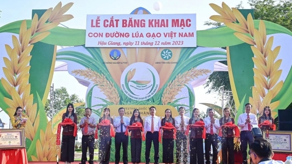 Khai mạc Con đường lúa gạo Việt Nam, tái hiện nền văn minh lúa nước