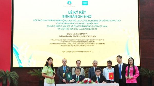 Bộ NN-PTNT và IRRI ký kết Ý định thư thúc đẩy hợp tác Nam - Nam