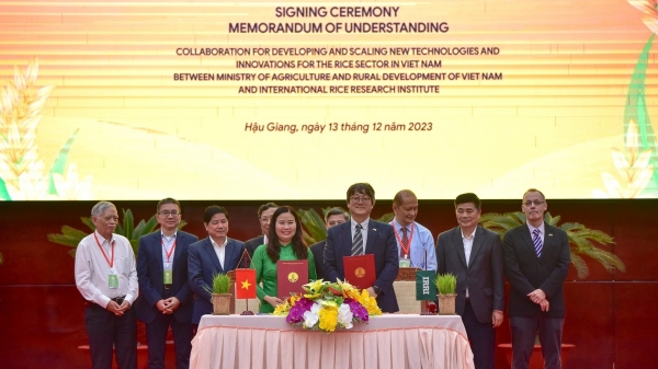 MARD collabs IRRI in developing new technologies for Vietnam's rice sector