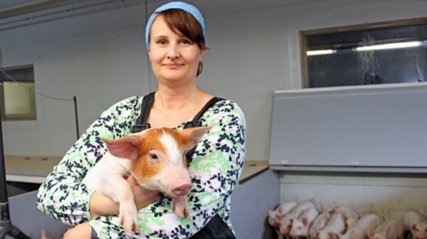 Ngành nuôi lợn châu Âu tìm cách lấy niềm tin người tiêu dùng