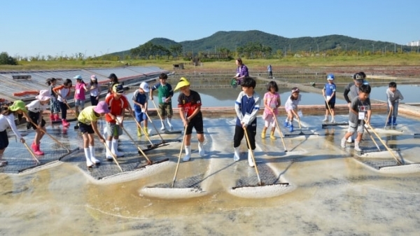 Minister Le Minh Hoan’s visit to Taepyeong salt farm and Mokpo Fisheries Cooperative