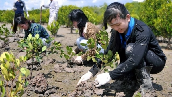 Tổ chức 'Tết trồng cây đời đời nhớ ơn Bác Hồ' phải thiết thực, hiệu quả