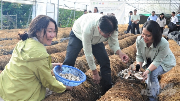 Rice Eco tạo việc làm, tăng thu nhập, giảm phát thải