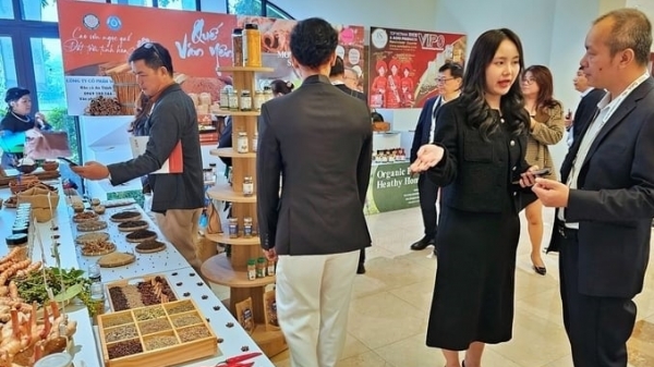 Sustainable and comprehensive development of Vietnam's pepper and spice industry