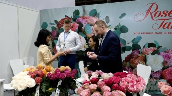 Hortex Vietnam 2024: Cơ hội học hỏi nghề làm vườn hiện đại