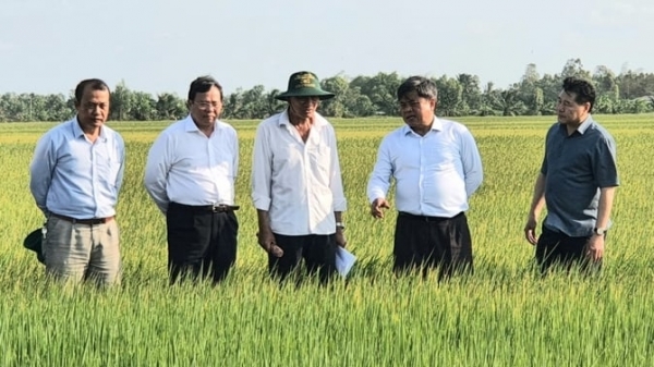 Deputy Minister Tran Thanh Nam: Community agricultural extension holds the pivotal role