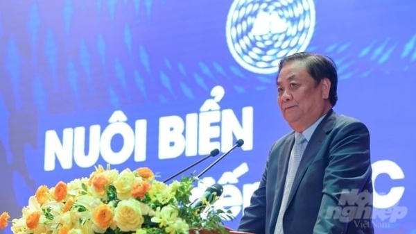Minister Le Minh Hoan: the circle of fisheries as seen in Quang Ninh