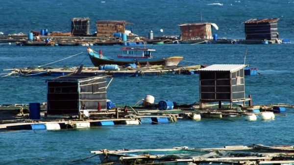 Building the mariculture industry: organizing marine space