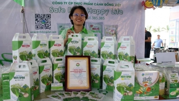 High-tech agriculture in Ninh Thuan: 180 enterprises enjoy support policies