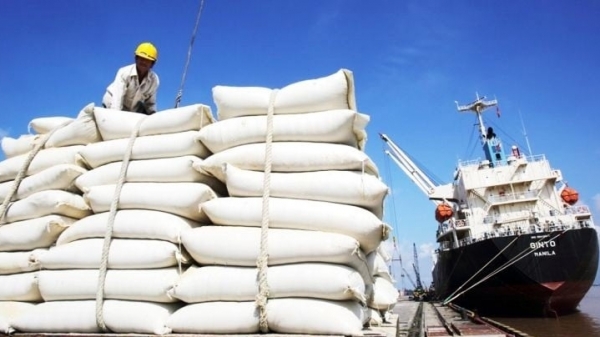 Việt Nam thu gần 1,4 tỷ USD từ xuất khẩu gạo trong quý I