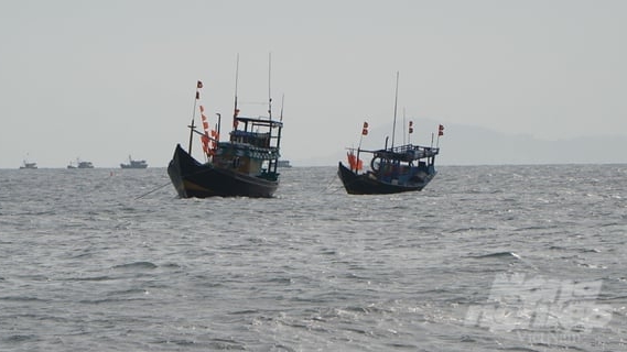 Removing IUU 'yellow card': fishing vessel registration