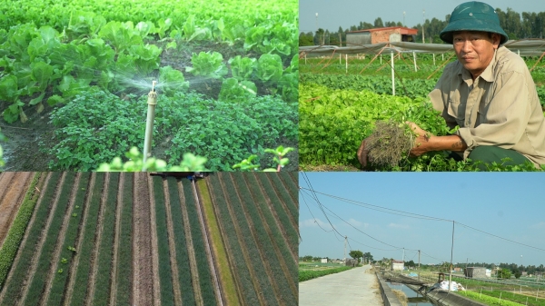 Hệ thống kênh mương nội đồng phục vụ hiệu quả sản xuất nông nghiệp