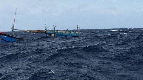 Tàu cá bị đâm chìm, 8 ngư dân mất tích