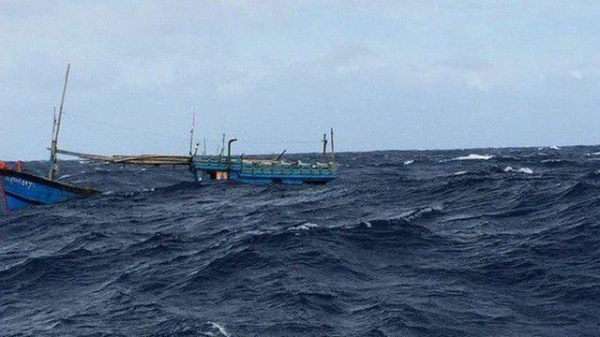 8 ngư dân mất tích sau khi tàu cá bị đâm đã an toàn
