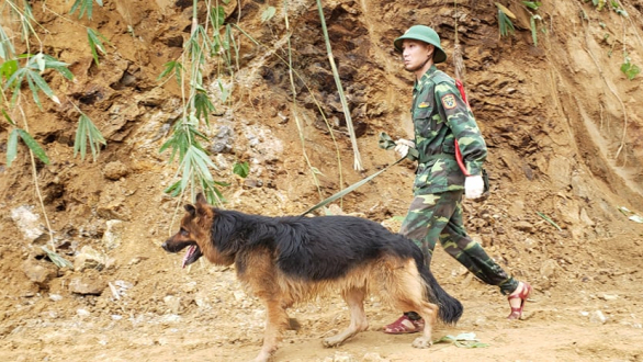 Huy động chó nghiệp vụ tìm kiếm nạn nhân mất tích ở Trà Leng