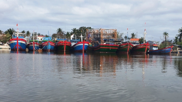 Sớm đầu tư, nâng cấp hạ tầng nghề cá ở Quảng Nam