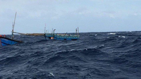 Cứu 47 thuyền viên gặp nạn bị chìm tàu trên biển