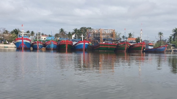 Quảng Nam kêu gọi gần 160 tàu thuyền ra khỏi vùng nguy hiểm của bão Conson