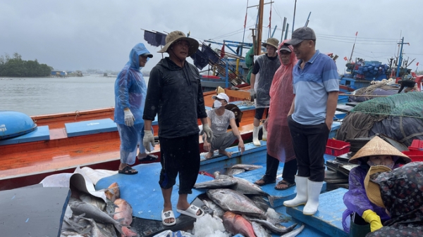 Ngư dân Quảng Ngãi vươn khơi đánh bắt xuyên Tết