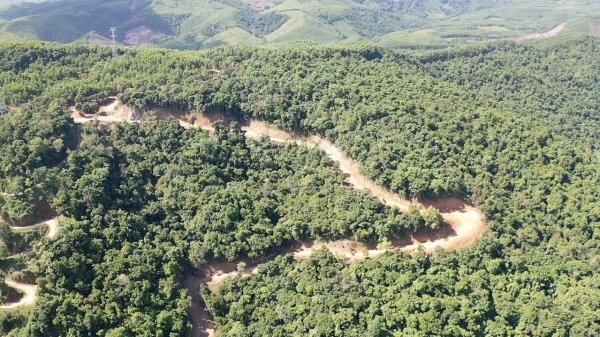 Chính phủ chỉ đạo hỏa tốc về vụ phá rừng mở đường ở Quảng Ngãi