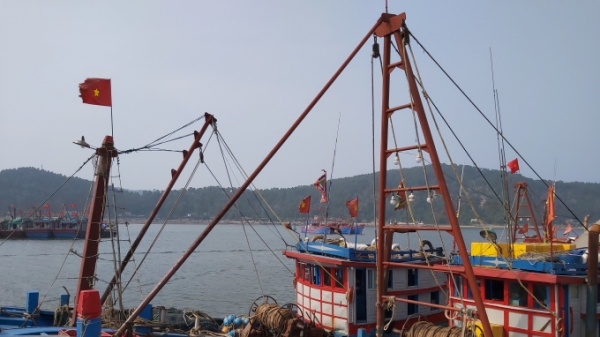 Tàu cá Việt Nam bị đâm chìm, 2 thuyền viên mất tích