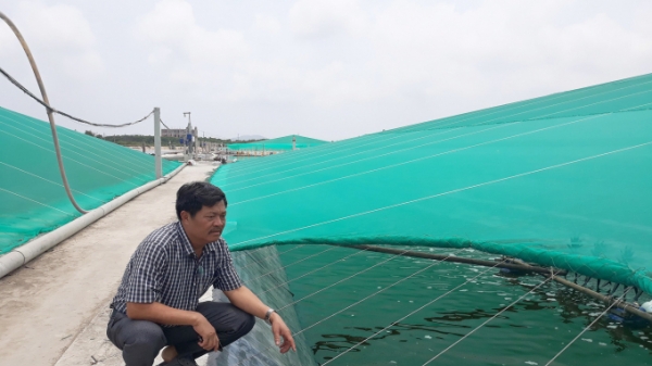 Thủy sản Nghệ An:  Môi trường ổn định góp phần cho thành công lớn