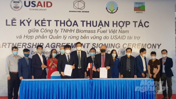 Biomass Fuel Việt Nam và Hợp phần quản lý rừng bền vững tiếp đà song hành