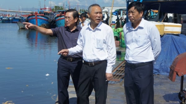 Ninh Thuận phải quản lý tốt tàu cá có nguy cơ vi phạm IUU