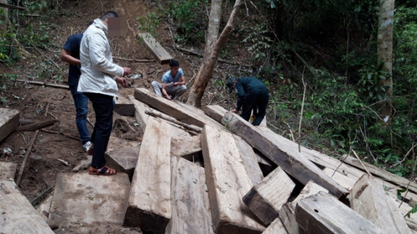 Liên tiếp phát hiện 2 vụ phá rừng tại Kon Plông
