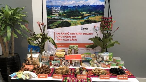 Nông nghiệp giúp Việt Nam hồi phục kinh tế sau đại dịch Covid-19