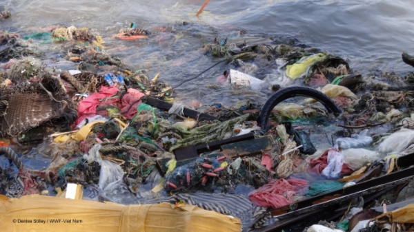 Ngành thủy sản xây dựng kế hoạch hành động quản lý rác thải nhựa đại dương