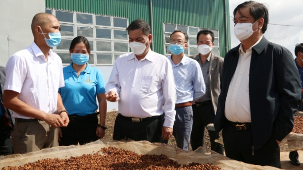 Bộ trưởng Lê Minh Hoan: Tiếp tục dự án VnSAT phát triển cà phê bền vững