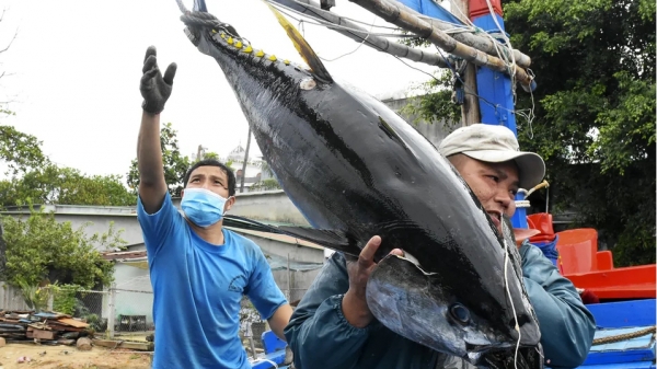 Xuất khẩu hải sản tăng 51%